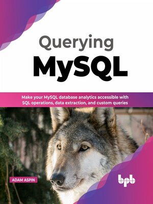 cover image of Querying MySQL
